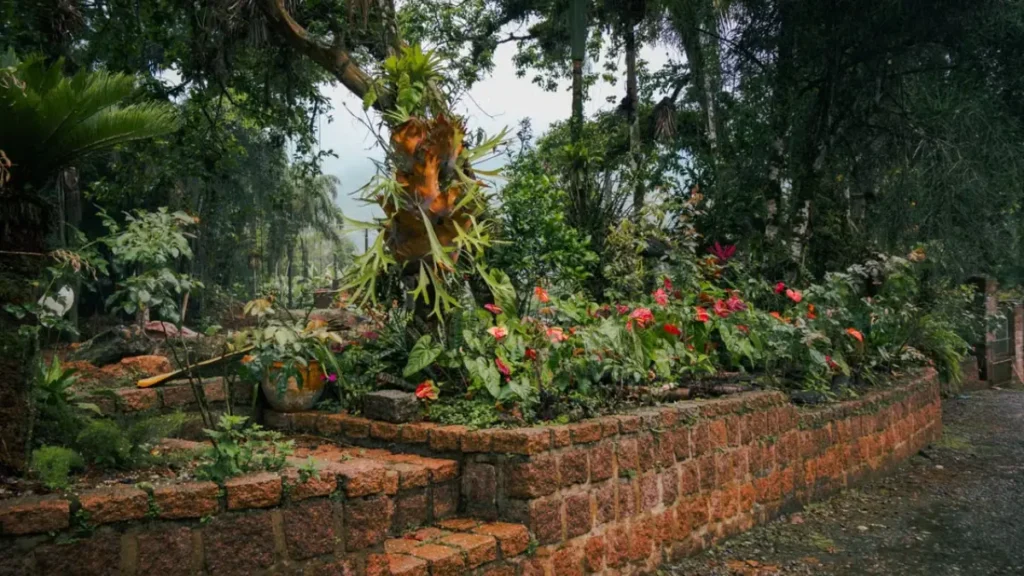 Jardim tropical arborizado com diversas plantas tropicais.