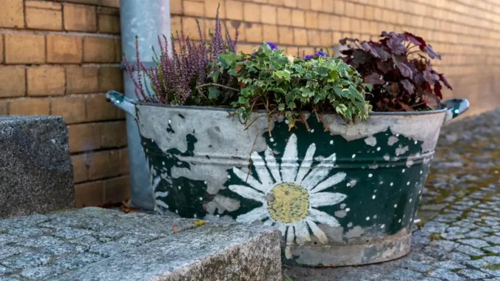 Jardim ecologico, foto de um latão de zonco customizada como cachepo de diversas especies exuberates de plantas.