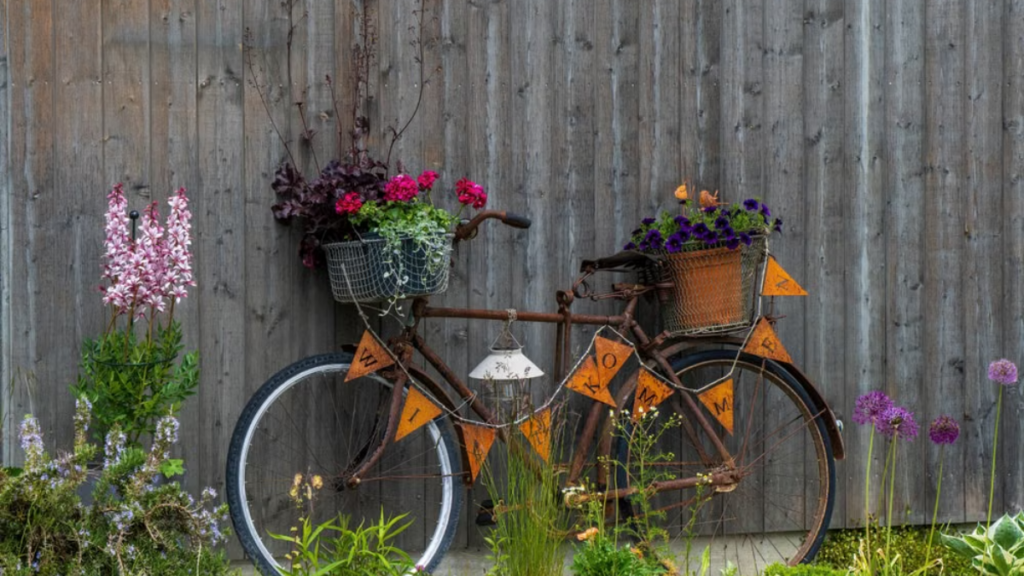 Jardim ecologico com utilização de uma bibicleta velha para decorar e como suporte de lanta.