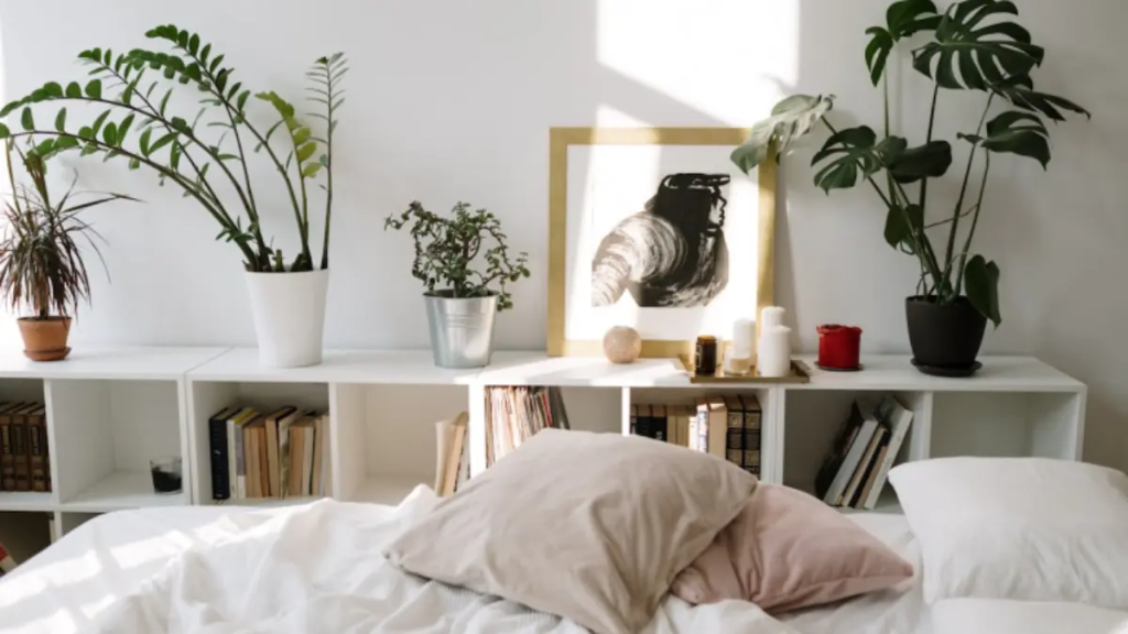 Quarto claro com algumas plantas em uma prateleiras na lateral.