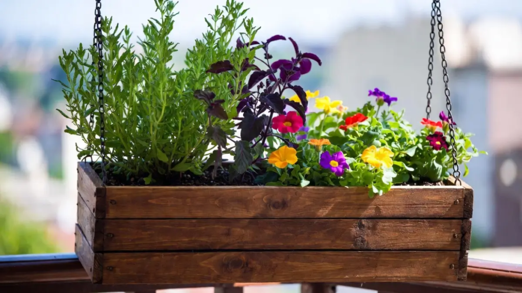Vasos e jardineiras com plantas exuberantes e flores coloridas em uma varanda ensolarada com drenagem perfeita.