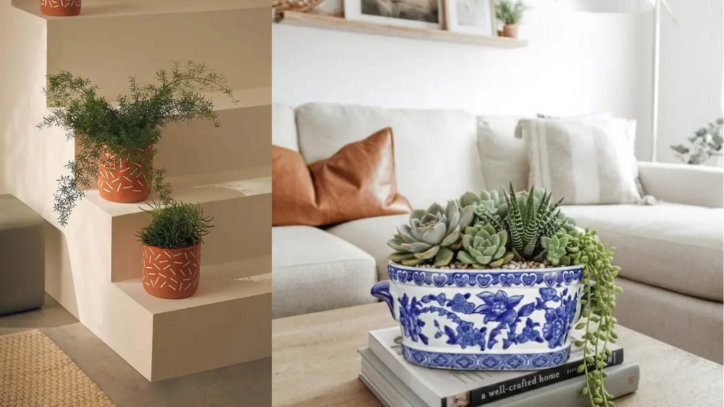 Close-Up de usos de cachept numa sala enfatizando a decoração.