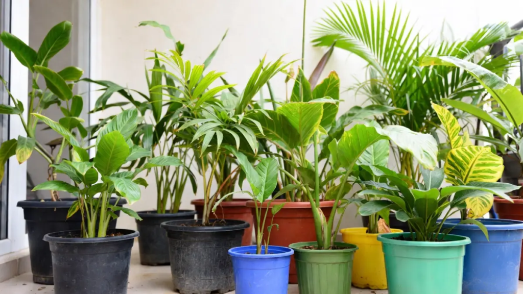 Vasos de plástico leves e práticos – excelente retenção de umidade para plantas tropicais