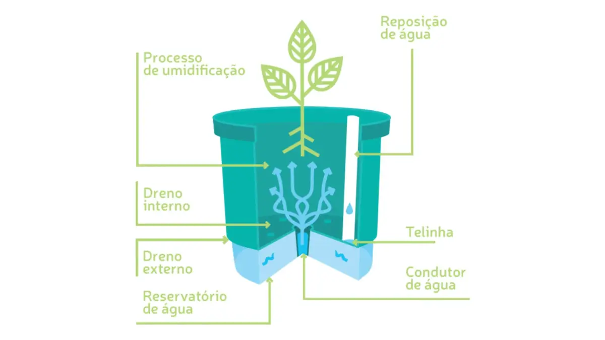 Ilustração explicativa do funcionamento de uma vaso autoirrigável.