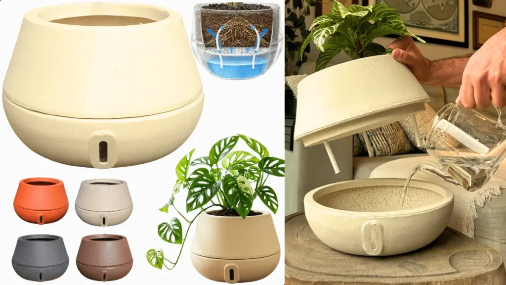 Vaso autoirrigável da Brota Company na cor bege com uma linda planta: Monstera Adansoni.