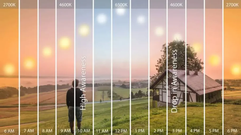Esquema ilustrativo da variação de temperatura de cor da luz ao longo do ciclo circadiano   