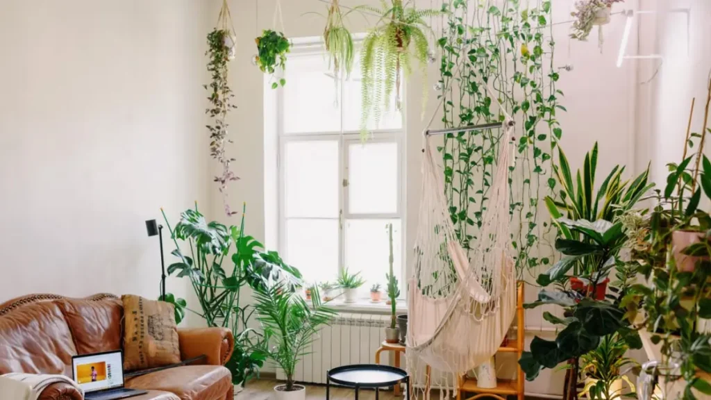 Sala bem iluminada aconchegante com plantas pendentes.